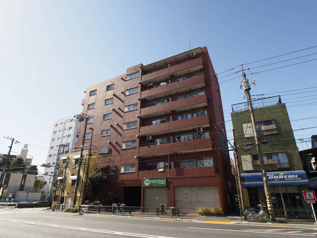 レオ向島